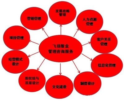 管理咨詢服務哪家強？專業信息咨詢機構的選擇與考量